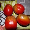 Au jardin potager (12) : le mildiou de la tomate....
