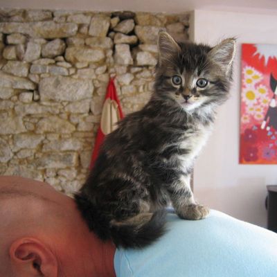 Ils grandissent trop vite !