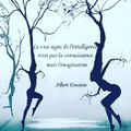 Le vrai signe de l'intelligence n'est pas la connaissance 💙💙💙...