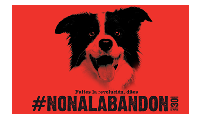 8( Chaque jour une moyenne de 274 animaux sont lâchement abandonnés en France !!!!