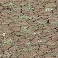 vigilance sécheresse dans la Manche - 19 juillet 2019