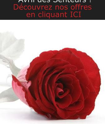 Promos jusqu'au 18/04/2010 dans votre boutique