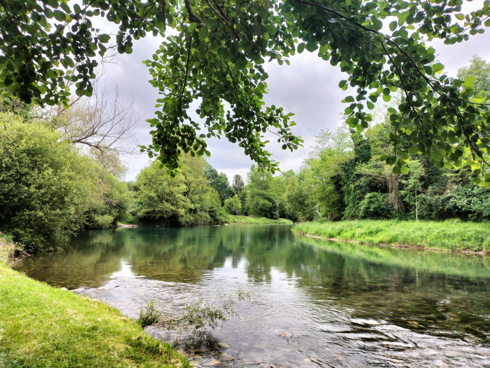 Sauveterre-de-Béarn, bord de Gave (64)