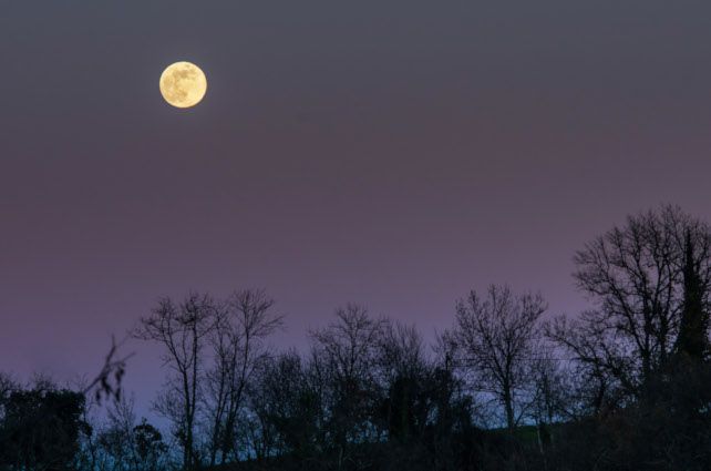 Photos de la Lune prises par Francine le 11 janvier 2025