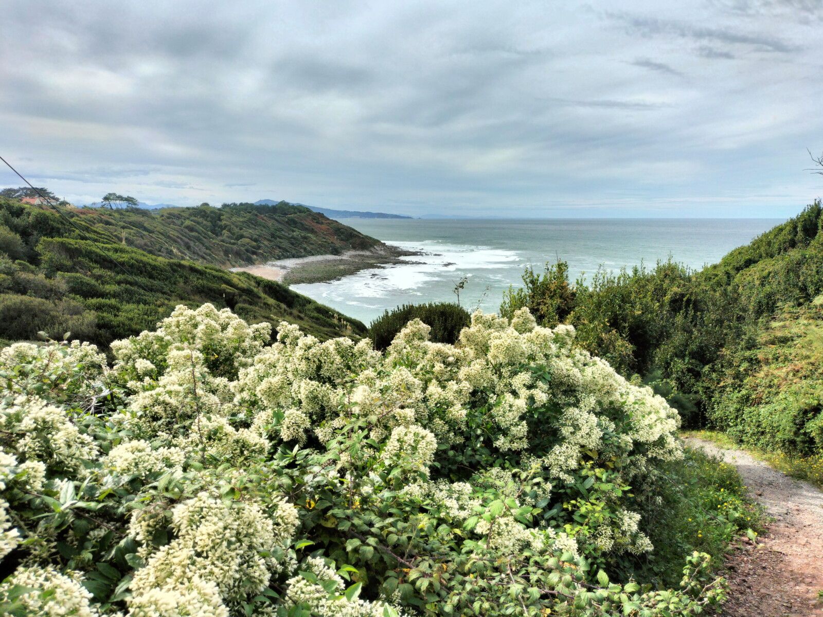 Acotz, plage Lafitenia et fleurs, octobre 2024 (64)