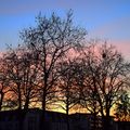 Au coucher du soleil à Rennes le 29 décembre 2019 (2)