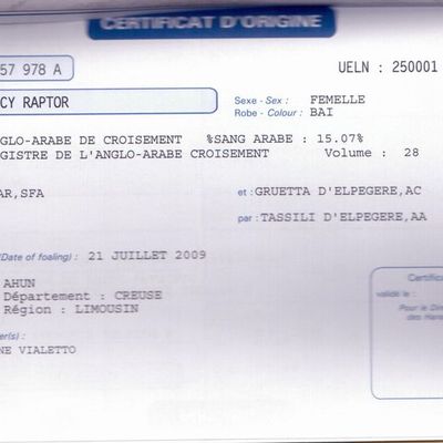 enfin... elle n'est plus sans-papiers...