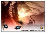 chippewa loisirs nature