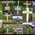 Des corps dans les champs de France et de Flandres