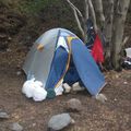 Treck de 5 jours a Torres del Paine