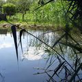 Au bord de l'eau