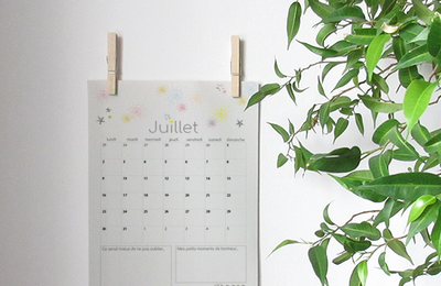 Calendriers mensuels : juillet 2018 (gratuit - à imprimer)