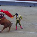 Corrida de Toros