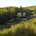 Gros Cerveau, entre Bandol et Sanary