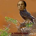 F. Hollande