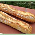 Les baguettes "magiques" !!! version Nature