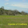 Fleurs de rillettes  fromagères  , pour Cathy