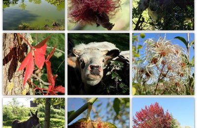 L'été en octobre