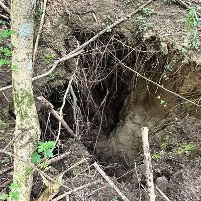 2 chantiers de plus à Lacamp