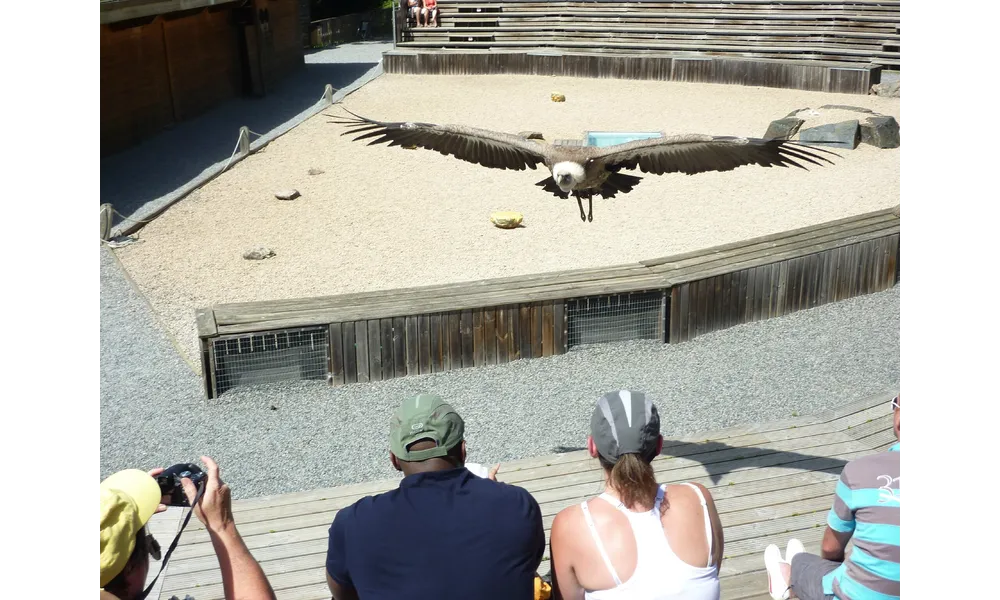 Le Parc de Courzieu, côté Rapaces