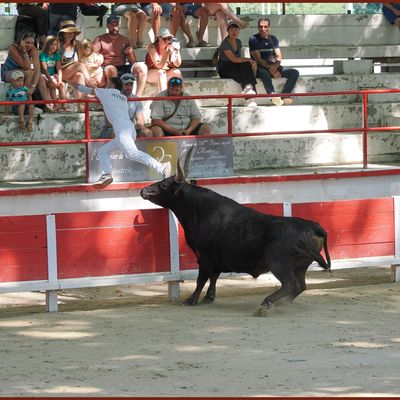 Remoulins