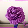rose violette 