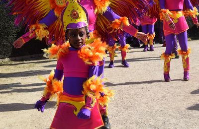 Au carnaval de Rennes le 15 mars 2025 (7)