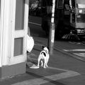 en allant au marché* . . . .