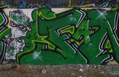 steet Art 42 2017   25 ans  FANS ASSE   