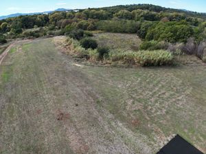 LA TAILLE DES CANNES A ÉTÉ RÉALISÉE.