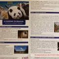 INSCRIPTION SORTIE ZOO DE BEAUVAL 14 AU 17 MAI 2024