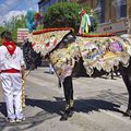 Caballos del vino Caravaca mai 2010