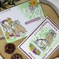 Duo Carte-Enveloppe assorties