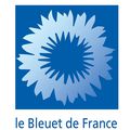 Le Bleuet du 11 novembre