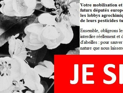 Pour une interdiction totale de tous les insecticides néonicotinoïdes