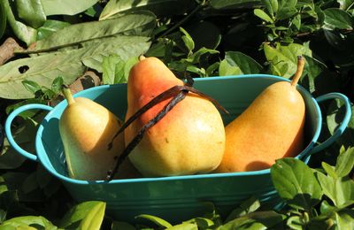 Les petits riens qui font tout: marmelade de poires à la vanille Bourbon