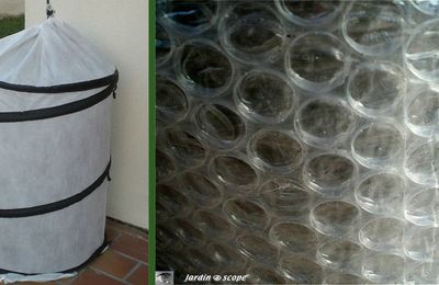 Comment protéger vos plantes du froid pendant l'hiver ?