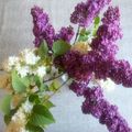 bouquet de lilas