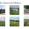 Les Européennes du goût 2010 : Récit & superbe adresse du Cantal, Le Jarrousset à Murat 