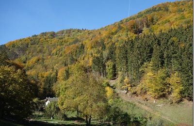 Steinwandklamm