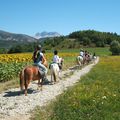 randonnée poneys de juillet 