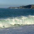 Ceux qui étaient partis à la découverte des baleines à Kaikoura