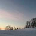 Les mois d'hiver - Coucher de soleil avec pigeons et moineaux 