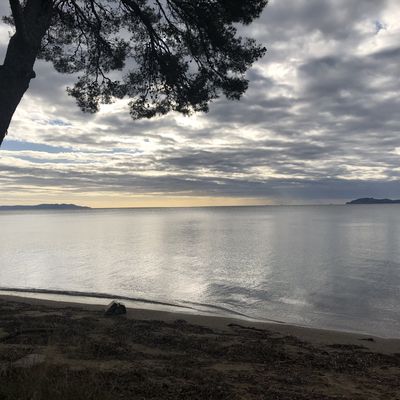 Sortie bien-être du 18 novembre 2025