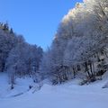 Mardi 3 Décembre GR1/   Chérue en raquettes