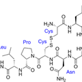 L’ocytocine : une hormone pour améliorer les contacts sociaux