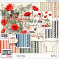 NEW... POPPIES - The collection