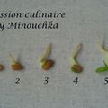 Curry de crevettes aux feuilles de methi