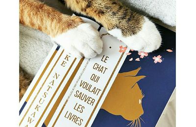 LE CHAT QUI VOULAIT SAUVER LES LIVRES - SOSUKE NATSUKAWA