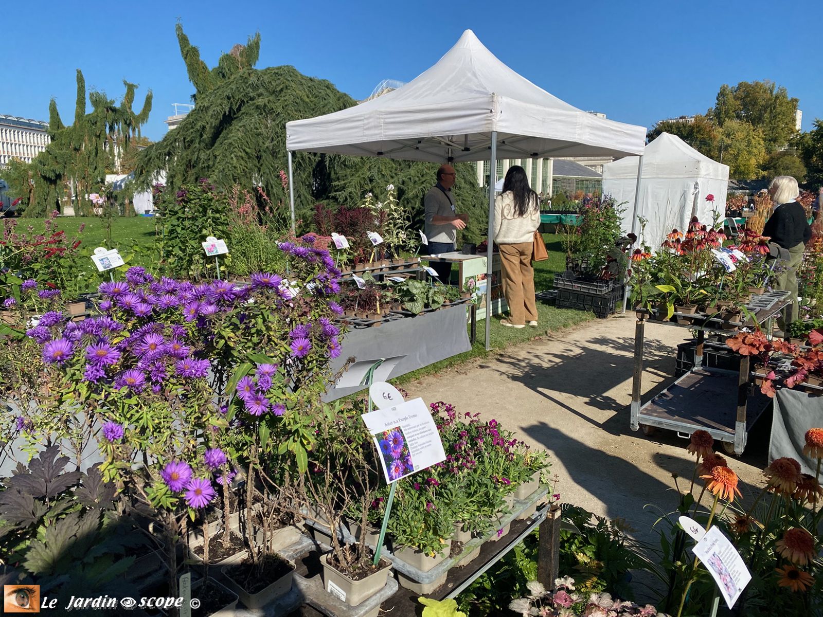 O'Jardin des plantes octobre 2025